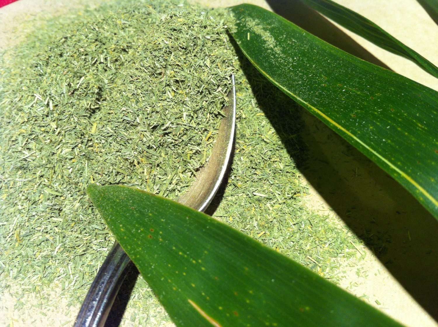 bamboo silica powder for hair growth Natural Oils for Hair & Beauty