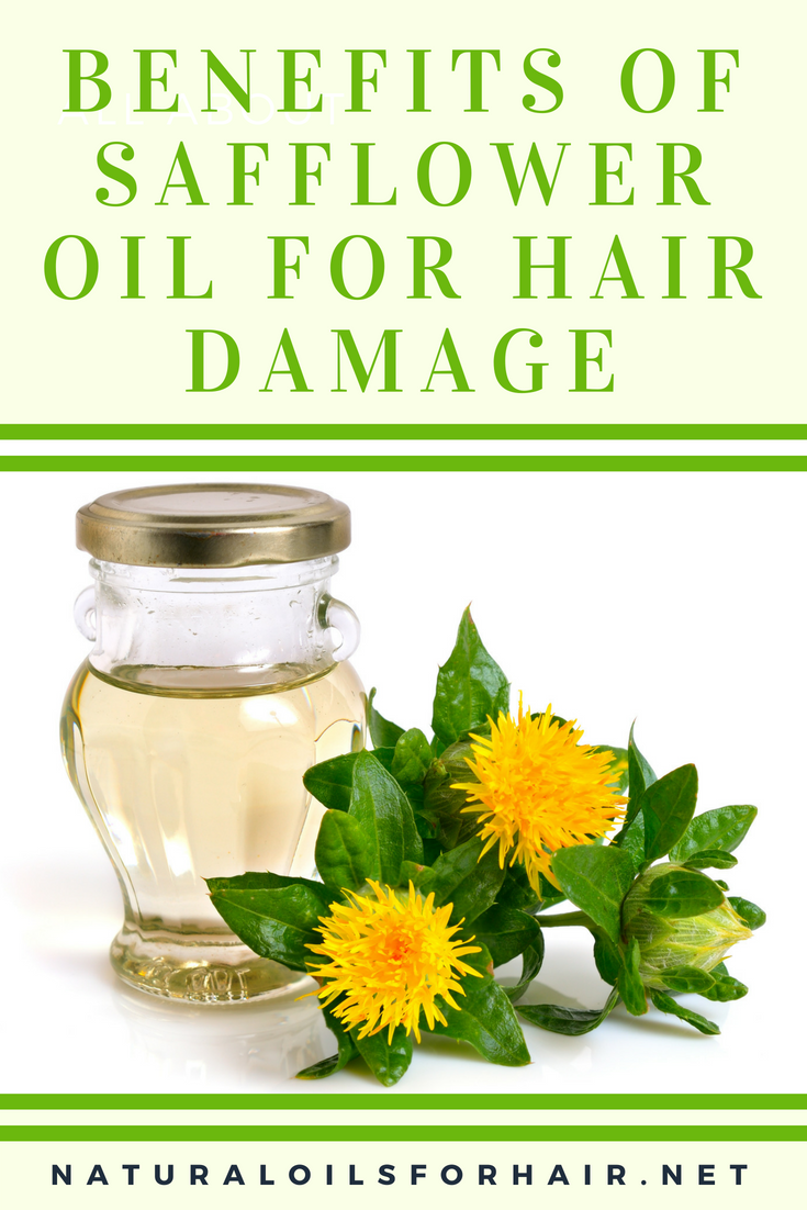 How To Use Safflower Oil on Color Damaged Hair Natural Oils for Hair & Beauty