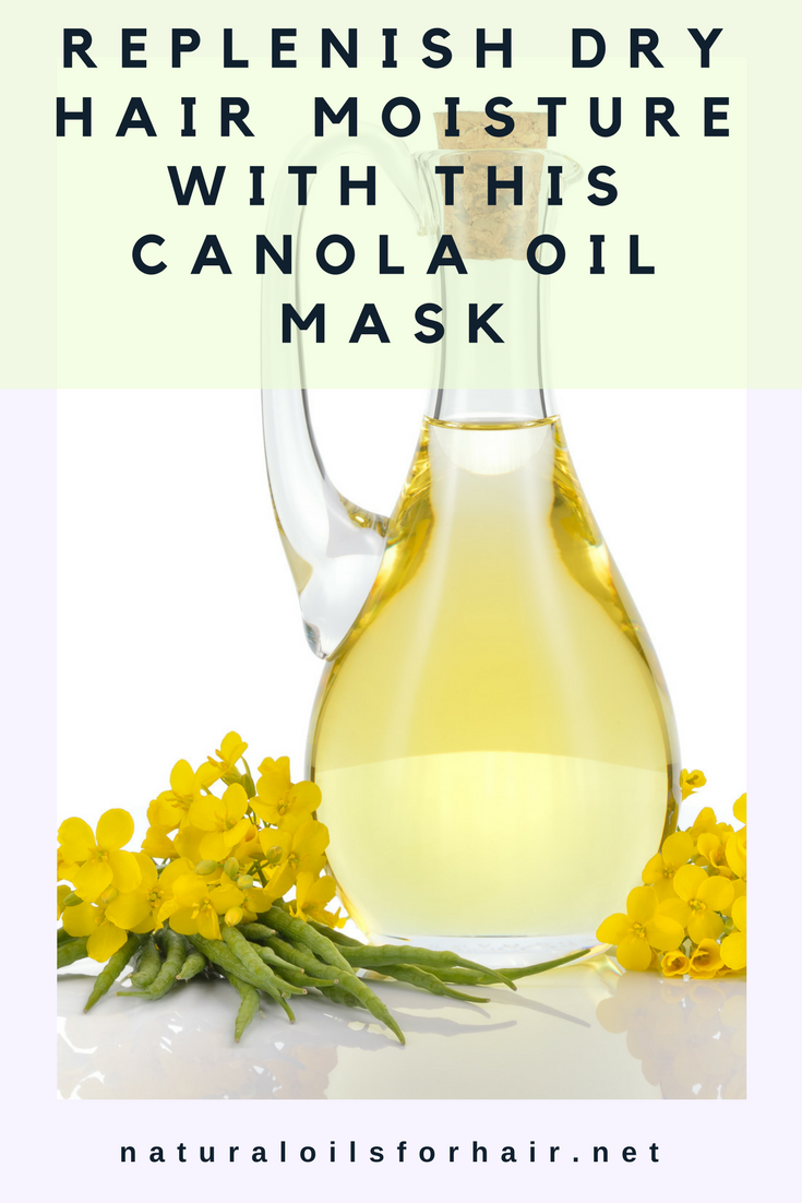 Replenish Dry Hair Moisture with Canola Oil Natural Oils for Hair