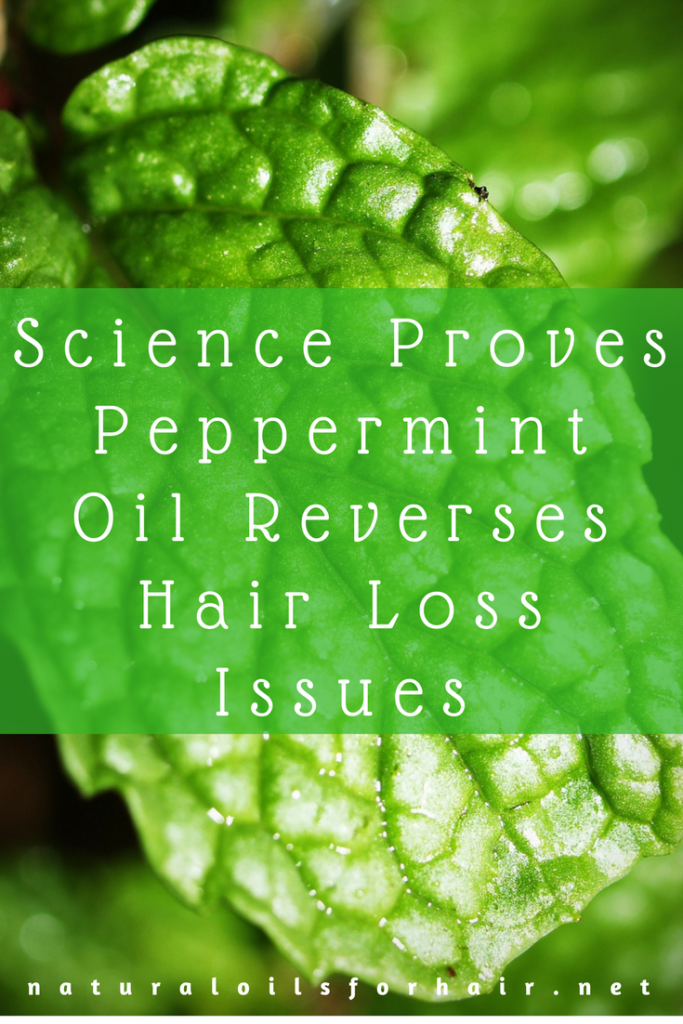 The Proven Science Behind Peppermint Oil for Hair Loss Issues Natural