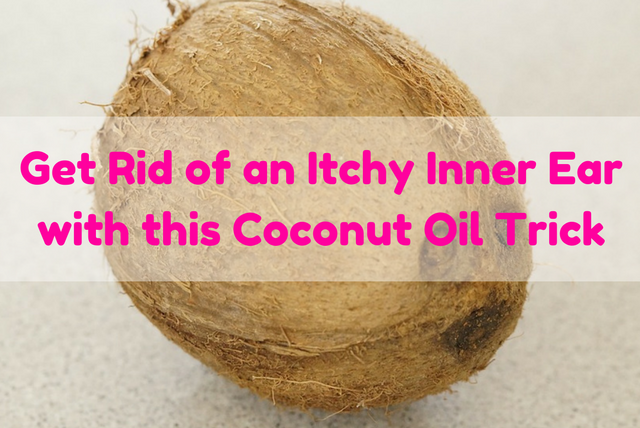 get-rid-of-itchy-inner-ear-with-this-coconut-oil-trick