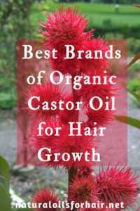 Best Brands Organic Castor Oil for Hair Growth 2