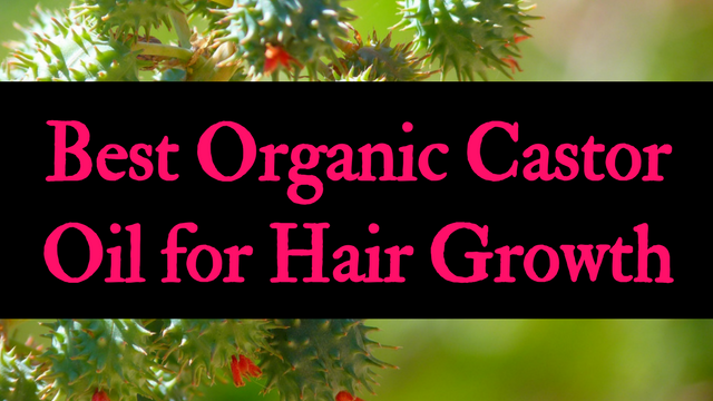 Best Organic Castor Oil For Hair Growth Natural Oils For Hair