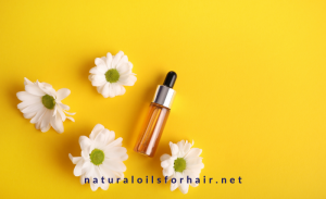 Recommended Oils for Coloured Hair
