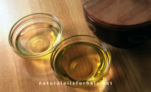 Recommended Oils for Grey Hair